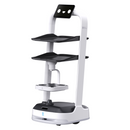 Robot de reparto universal - PuduBot 2