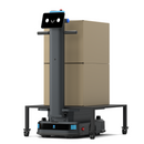 Robot de carga industrial - T300