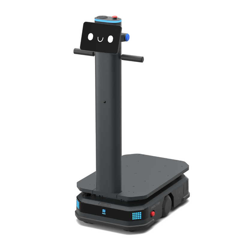 Robot de carga industrial - T300